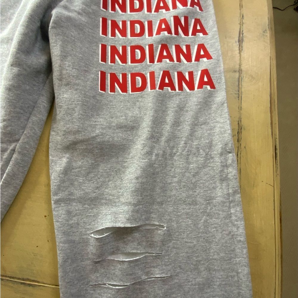 Indiana Gray Joggers - Picture 3 of 6